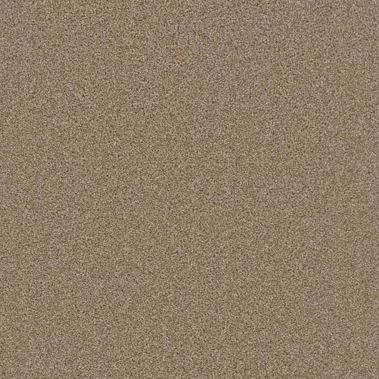 The Pacific Rim Collection - 24oz Cut Pile Carpet