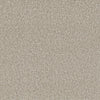 The Pacific Rim Collection - 24oz Cut Pile Carpet