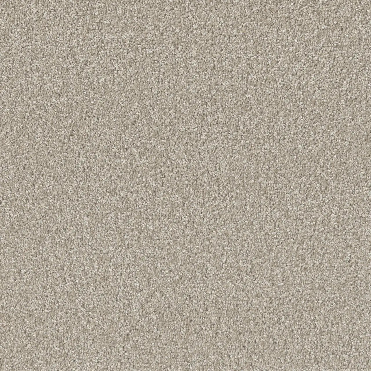 The Pacific Rim Collection - 24oz Cut Pile Carpet