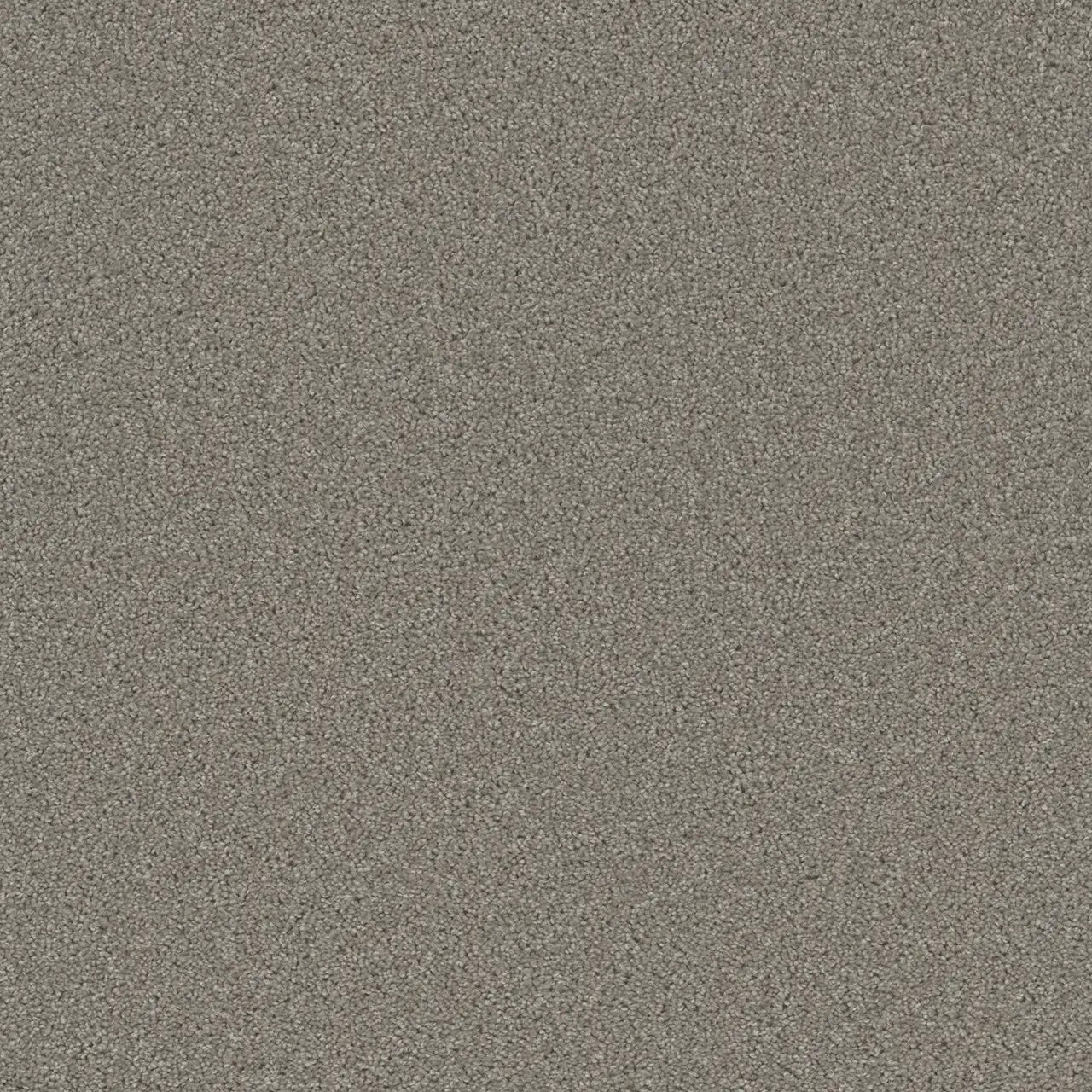 The Pacific Rim Collection - 24oz Cut Pile Carpet