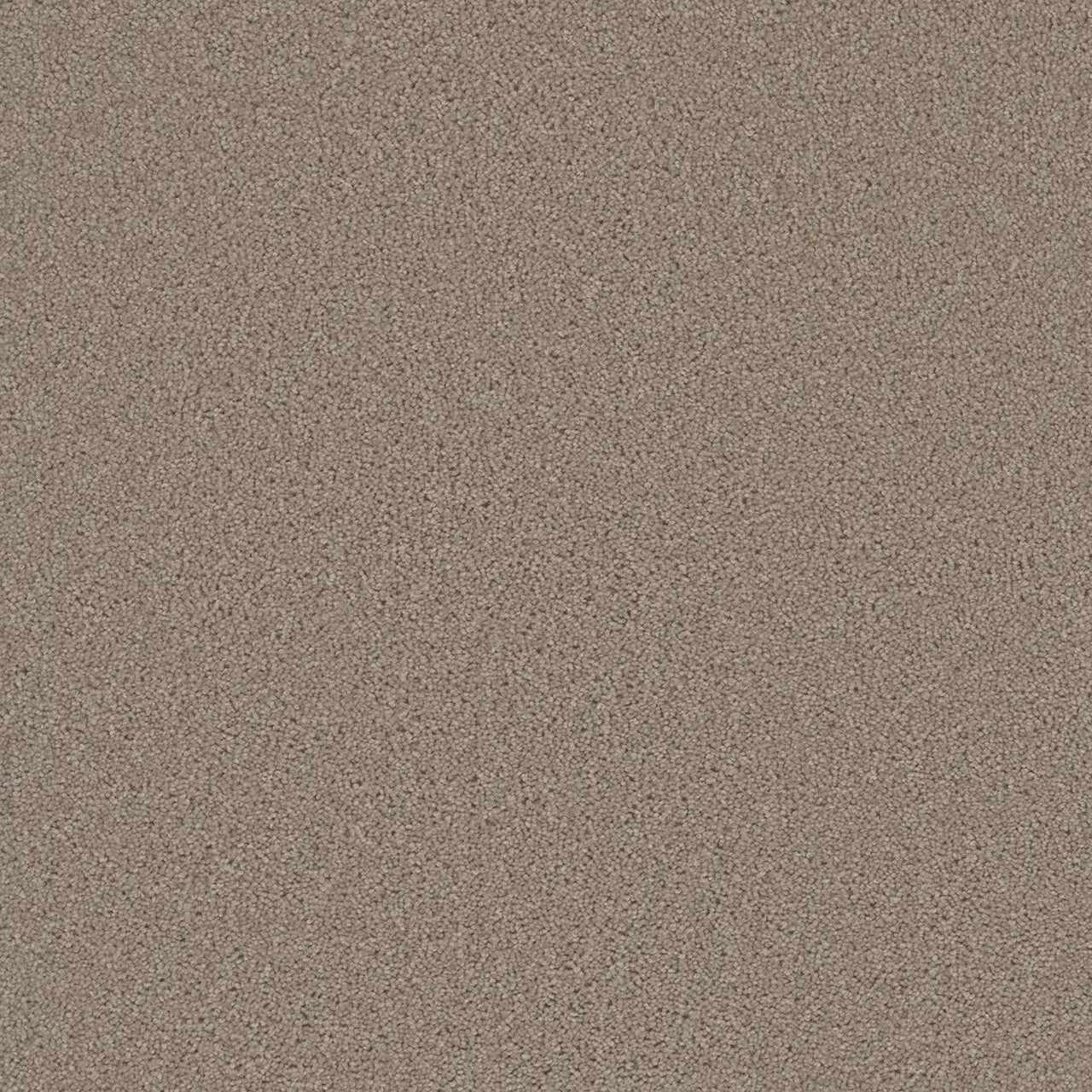 The Pacific Rim Collection - 24oz Cut Pile Carpet